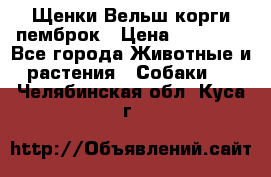 Щенки Вельш корги пемброк › Цена ­ 35 000 - Все города Животные и растения » Собаки   . Челябинская обл.,Куса г.